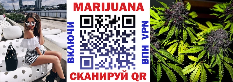 Конопля планчик  закладка  Теберда 